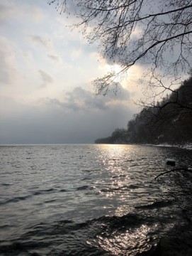 5smbbziy8ru82gcv9oja_361_480-ed57902f.jpg