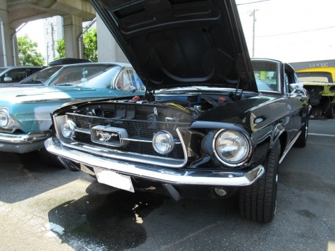 5smo3gf74e4pxmorricb_480_480-72d791b2.jpg
