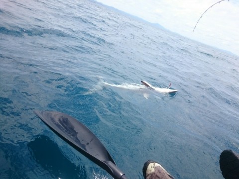 5snysxra897at8bch5fm_920_690-89123a97.jpg