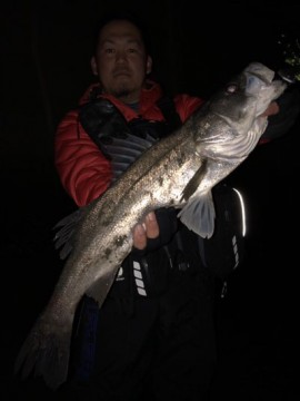 5sptxh2o58kua2vhtjpa_360_480-cbb54207.jpg