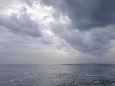 5t5d6niibk99nnzfh3y3_480_480-e6f7ae39.jpg