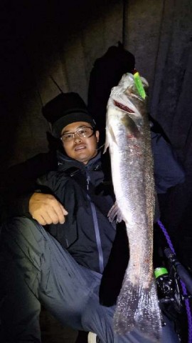 5t7yxj7xf5n427krbikf_480_480-2e3af0f5.jpg