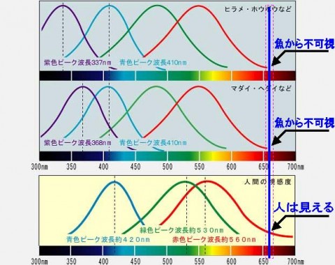 5t9fsioivingu6g6redo_480_480-0377d1dc.jpg