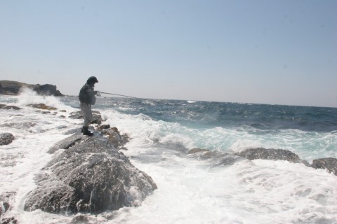 5toi9dhivrtpcuz9egu9_480_480-cb535770.jpg