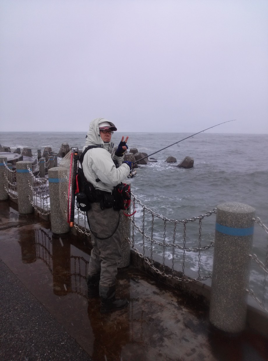 釣り 2019 ハタハタ