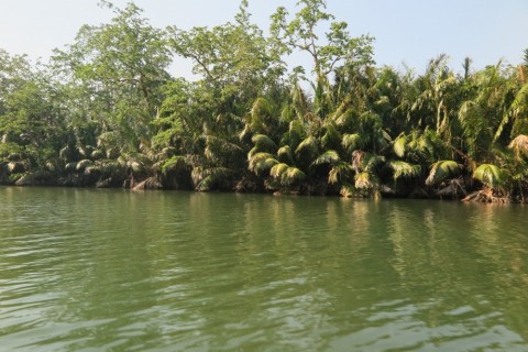 5tydopzimwstgk9rdf27_480_480-1795358d.jpg
