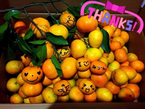 5u4hpsvfu9fveubpsj84_920_690-9d46932b.jpg