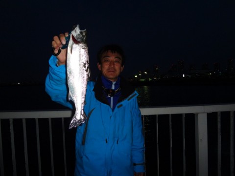 5u9sbk386ov99353k5oe_480_480-7ae0a634.jpg
