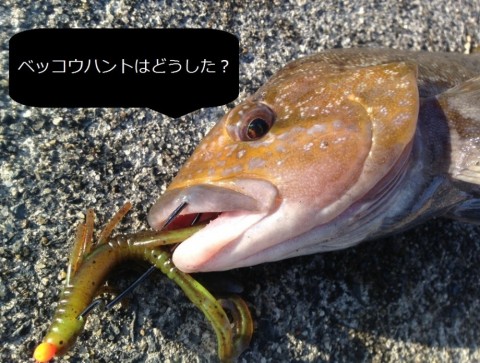 5udyhi2r8n32yw5gxi62_480_480-780f056e.jpg