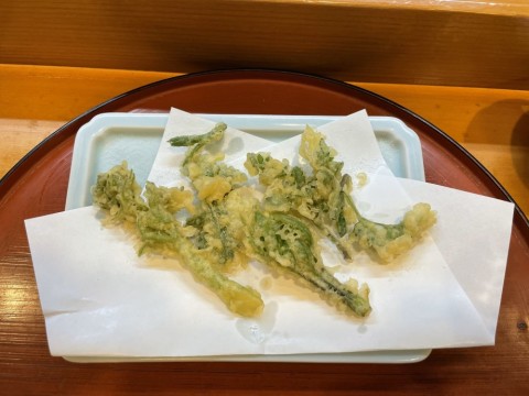 5uedmnabsjtujdopwcd8_480_480-037069ca.jpg