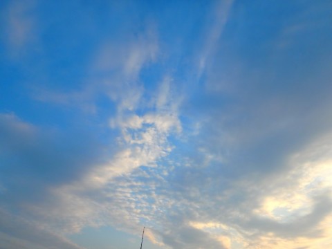5uh2iygu59teffmzg2ax_480_480-6619259f.jpg