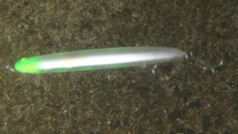 5uncf4nr26dgashmccra_480_480-c7ec0af9.jpg