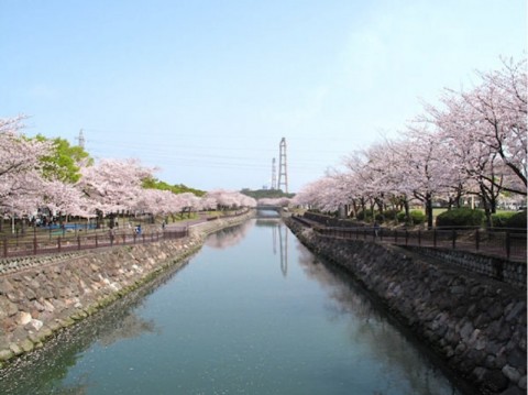 5v2k6xiuha6px2326k9w_920_689-89d31769.jpg