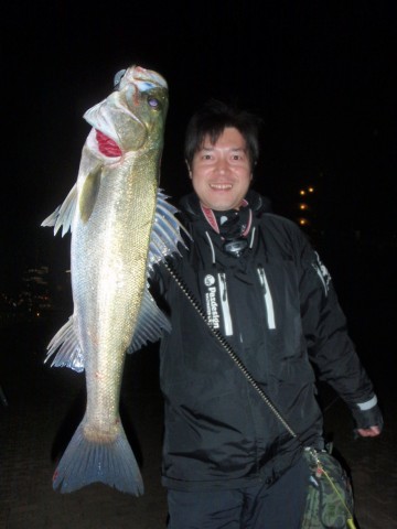 5v48xs45bo5rc2iu7ryj_480_480-92be3157.jpg