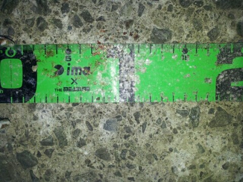 5v6gj7kx8mexzay5k3b3_640_480-48c38c5a.jpg