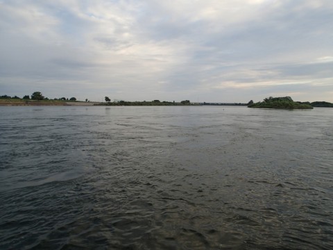 5vdcysmxhpwttoupdxcz_480_480-9d6c591f.jpg