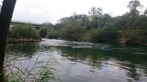 5vsivadrjgmf88ck84mb_920_518-514789e4.jpg