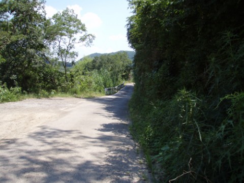 5w3czm5ArMfMvwgmwA2j_480_480-0602d279.jpg