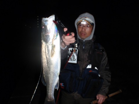 5wg2kkv249su9x543kw2_480_480-198c5ef0.jpg