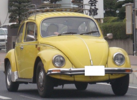 5who7ujtpw5dgjhkw3oo_480_480-2f19b0d0.jpg