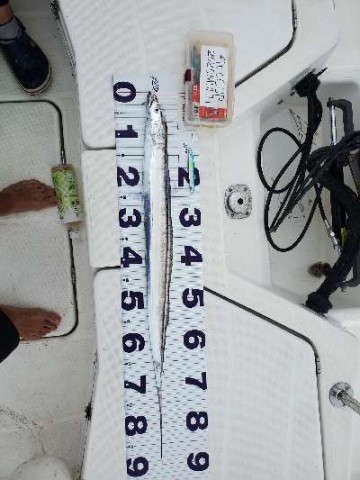 5wxgu3djhi4vravvn2rh_480_480-6ff1d8e1.jpg