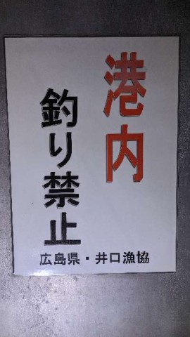 5wxyajatn2j7brkwwouu_480_480-d131d848.jpg