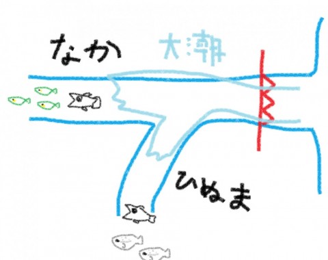 5xkosdfgwjyng3u44gos_480_480-285f214c.jpg