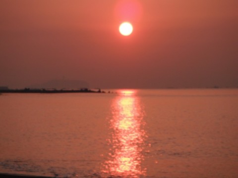 5xvv8bkwxzgo88t94j8p_480_480-86c34bc5.jpg