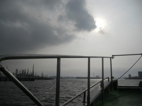 5ytzkeoi4majoshoa8rr_480_480-adc3951b.jpg