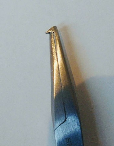 5zdix5ppphbrh76jmdsz_480_480-740a3599.jpg
