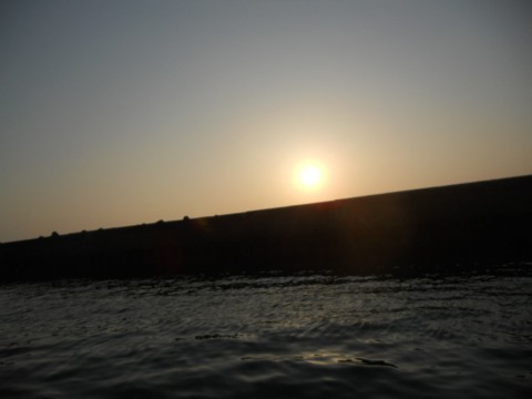 5ze88hgfzs3s8afsum2i_480_480-53fbb625.jpg