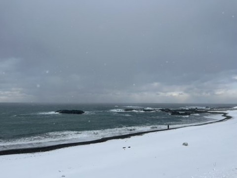 5zpnngen48thggu6tswg_480_360-1772f9e8.jpg