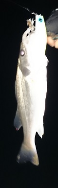 5ztx6kezaj3sz2r7a3wm-da7c5617.jpg