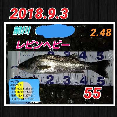 628echubot3bgz248v3u-d48add11.jpg