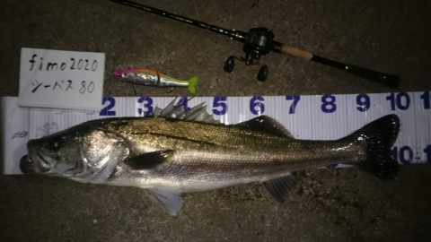 62i65r3st3or6hits6k6_480_480-76ece028.jpg