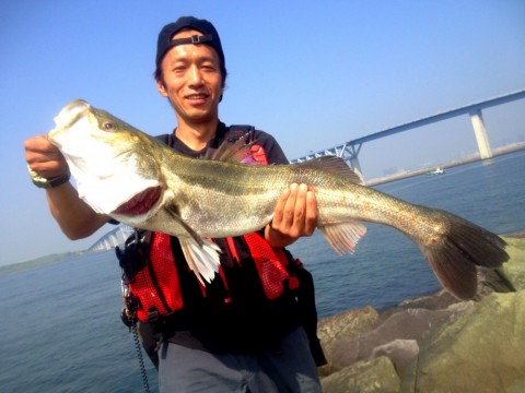 62jb72oeswe4fmjmw9bo_480_480-5e871cad.jpg