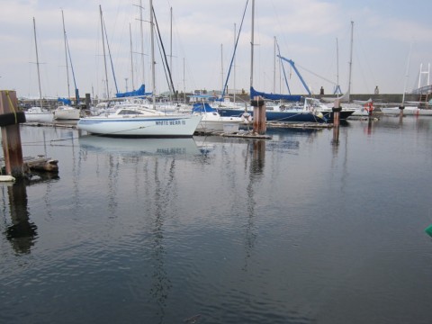 62may2af7wmw8542srkv_480_480-72f48d59.jpg