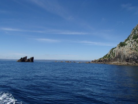 62nni42ib69h52wf28j3_480_480-5919e878.jpg