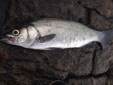 62p5ybuus675yauvts32_920_690-ed8c6d38.jpg
