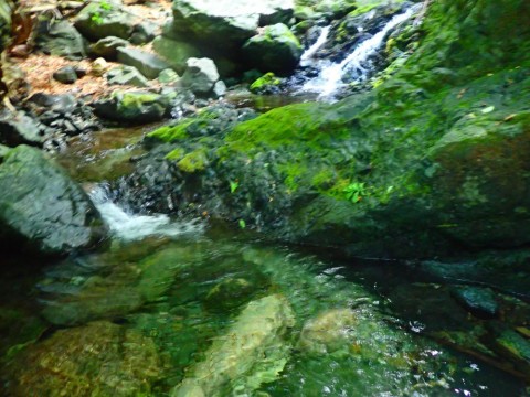 62y4473b7n6okv7izjrv_480_480-3e9c4d84.jpg