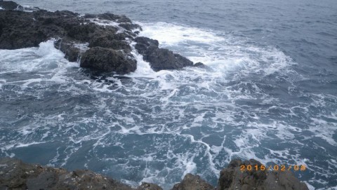 62y6avf3oaa8sahj789o_480_480-eb3799ff.jpg