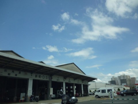 635drmgge8r686t77xwy_480_480-5e666be2.jpg