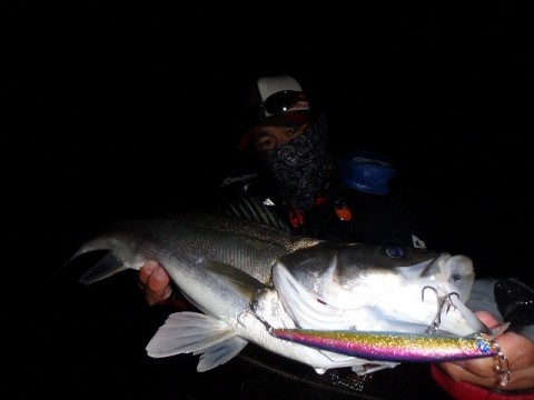 638fk2is98ab3caxf3j2_480_480-8aabe2e0.jpg