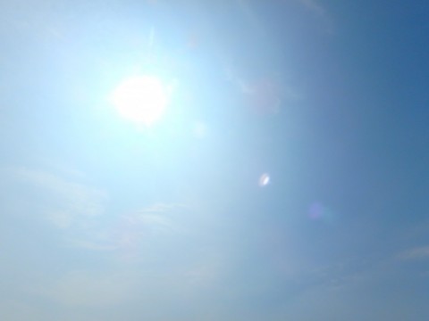 63gact9mi462gfjr8yeb_480_480-ca3940cb.jpg