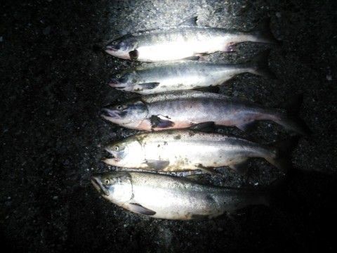 63m25suexgohgy79k5ga_920_690-5706ead3.jpg