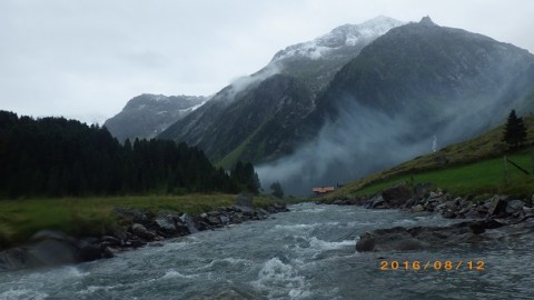 63tt9wzikpabvmbgk2d7_480_480-df17570f.jpg