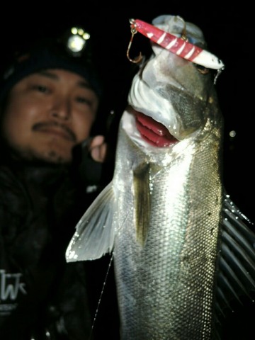 63zte22j9kc748fgrh99_690_920-afc87014.jpg