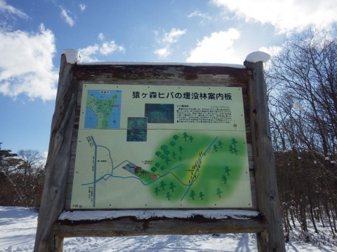 644ygupyx8supucxwzvw_480_480-86e1df2f.jpg