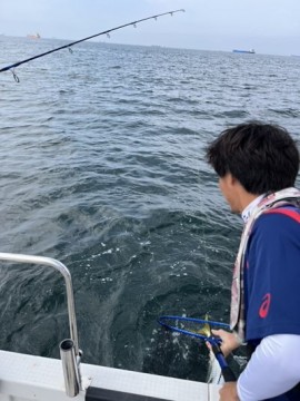 64hms6g9nui58b22tyuw_360_480-4d3951c0.jpg