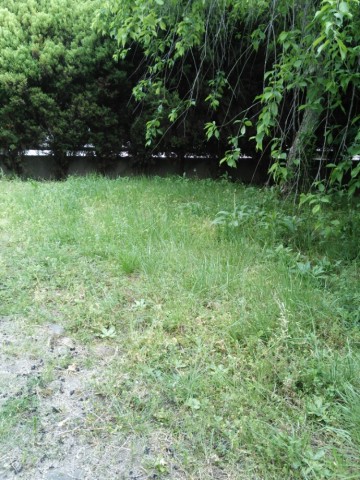 64mubmrogcabgajyzovm_690_920-e24d831e.jpg